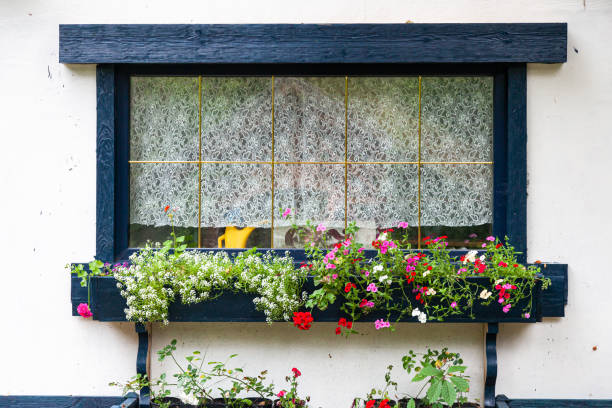 istock Close-up of a charming window 1174103441