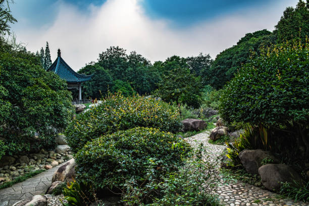 istock Two pathways at the Mei Park in Wuxi. 1174104385