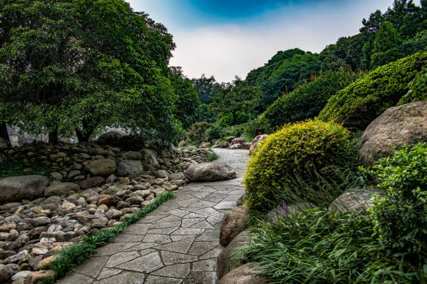 Stroll at a Classical Chinese Garden in Wuxi