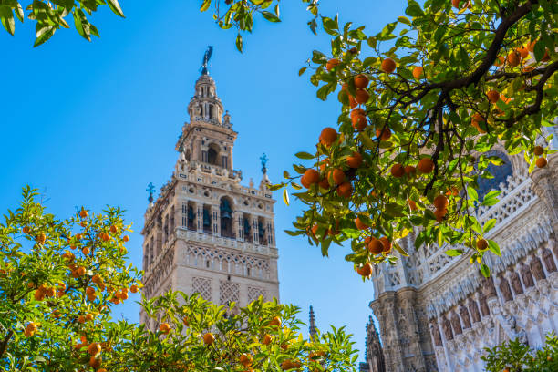istock Giralda, Seville 1174106047