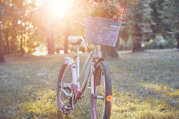 istock Retro bicycle with a basket full of flowers. 1174106814