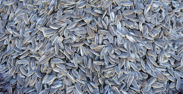 istock organic sunflower seeds 1174109107