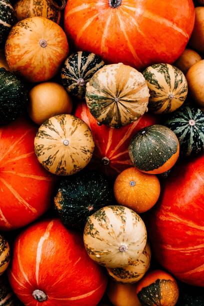 istock Pumpkin background for thanksgiving and halloween. 1174109256