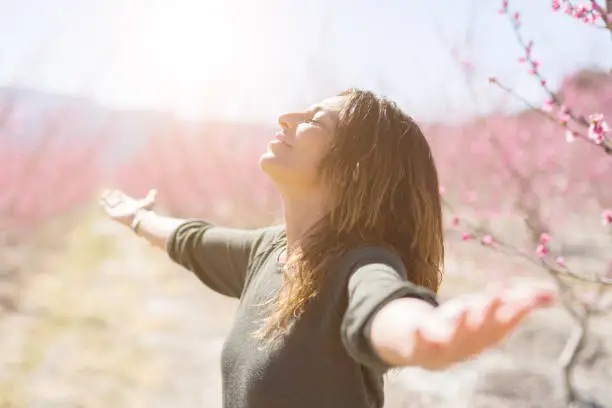 Beautiful middle age woman in the middle of pink peach flowers and trees smiling cheerful with open arms enjoying sunbathe on sunny day