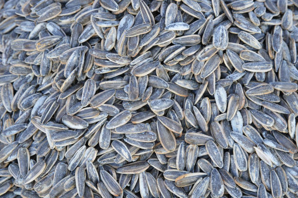 istock organic sunflower seeds 1174109890