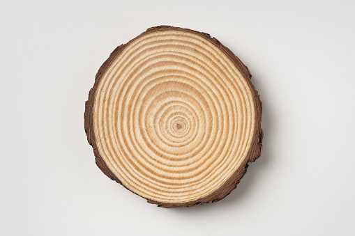 top view of wood piece with annual ring on white