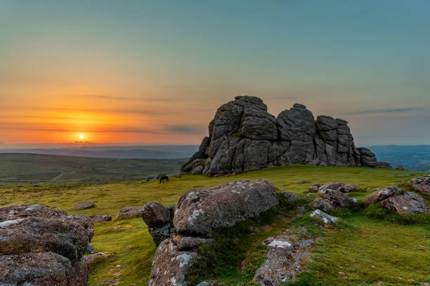 hay tor, dartmoor, devon, inglaterra - outcrop - fotografias e filmes do acervo