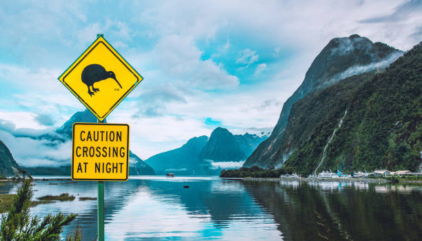 ミルフォードサウンドニュージーランドのキウイ鳥警告サイン - wadi warning ストックフォトと画像