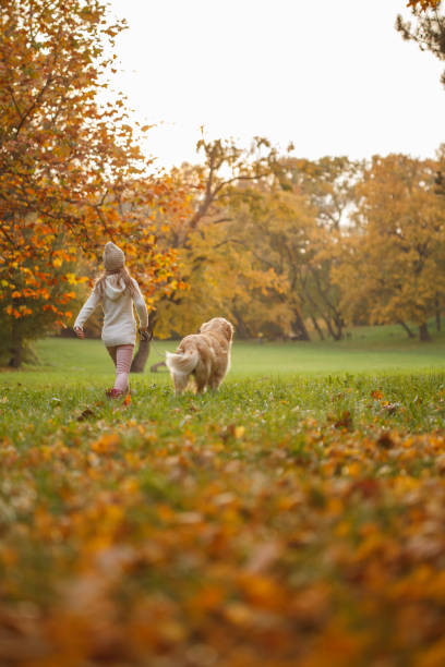 istock Little girl running with her dog 1174131200