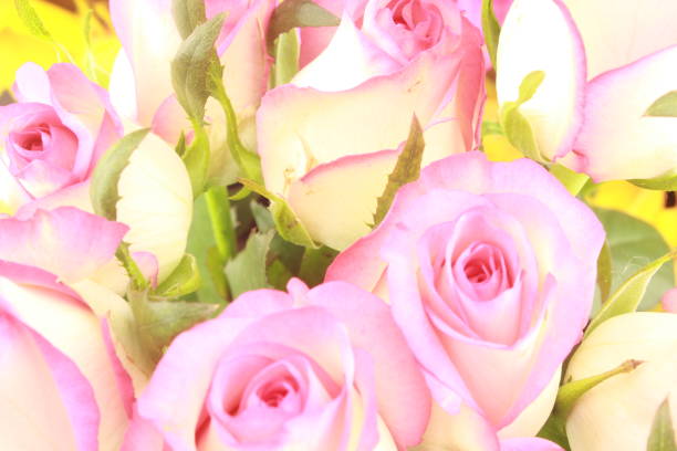 Flowers, flower, bouquet, rose, greenery, grass, color, white, yellow, green, pink, flora, holiday, congratulations, postcard.