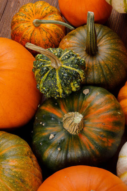 istock Assortiment of pumpkins background 1174133905