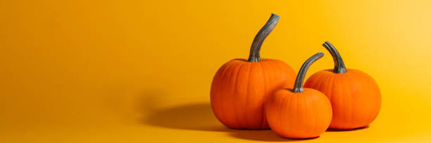 Halloween pumpkins on orange
