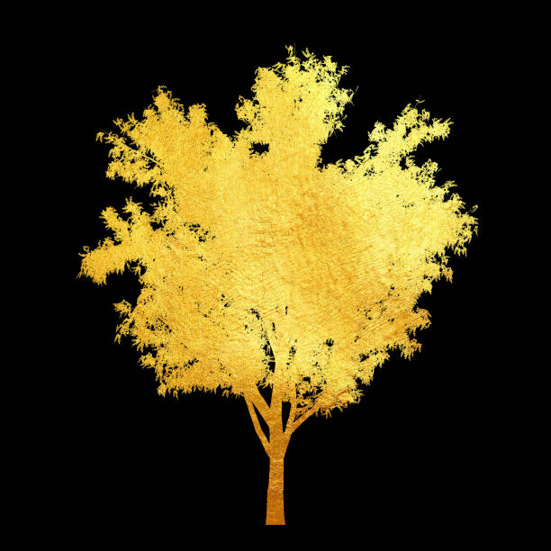 istock Golden tree with leaves isolated on black background. 1174140459
