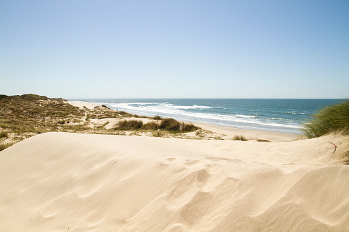 Sand dunes in Cavadelo beach, Viana do Castelo, Portugal