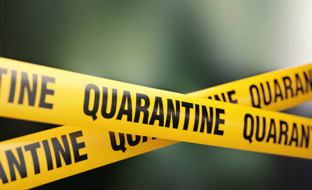 istock Quarantine Tape Barrier over Defocused Background 1174145825