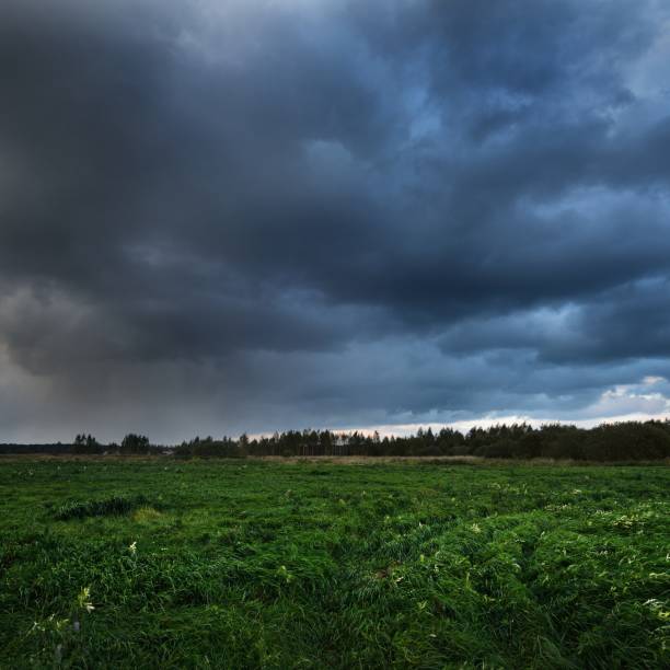istock Dark dramatic rain evening clouds over countryside landscape. Autumn in Latvia. 1174146642