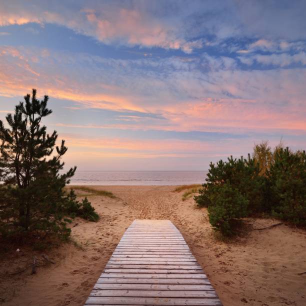 istock Baltic sea shore and a road through the sand dunes 1174146977