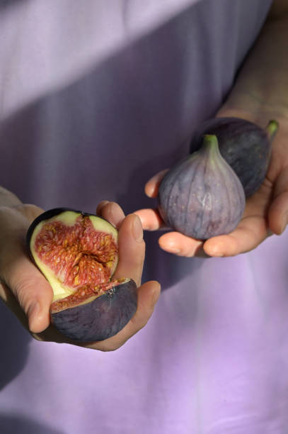istock Fresh Figs Holded By Woman Hands 1174147086