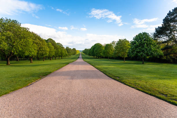 straigt road lined with trees in a park on a clear spring day