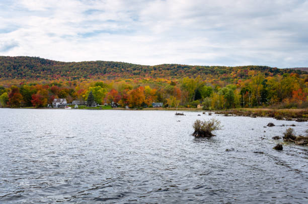 istock Lake surrounded by colourful autumn woods on a fall cloudy dy 1174149636