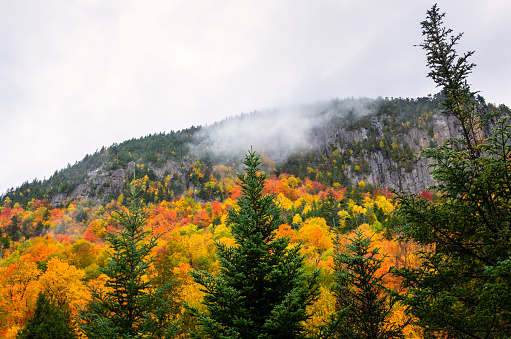 Colourful Mountainside forest on a cloudy and rainy autumn day. Lake Placid, NY, USA.