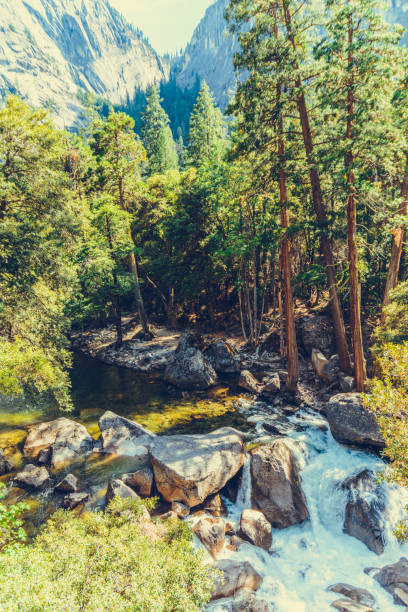 istock Yosemite National Park 1174150376