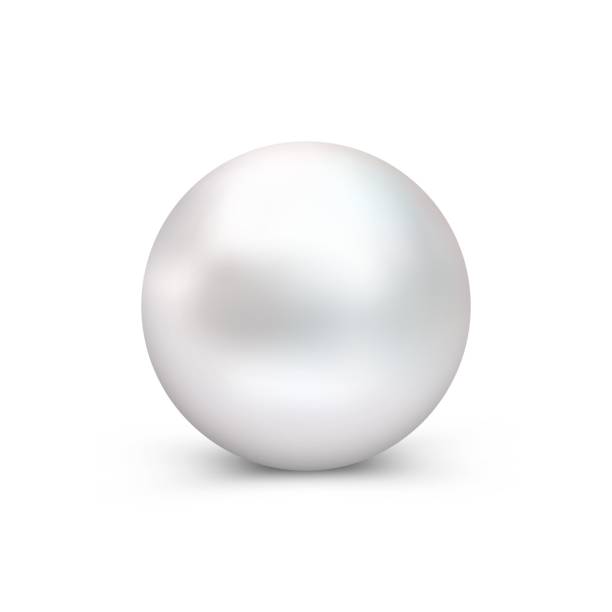 perle, dekoration element. - pearl oyster shell white stock-grafiken, -clipart, -cartoons und -symbole