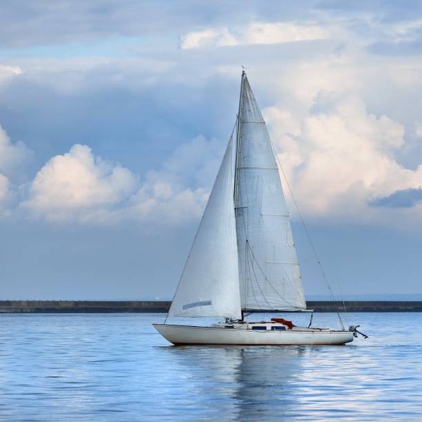 istock Beautiful sloop rigged yacht sailing at sunset 1174166507