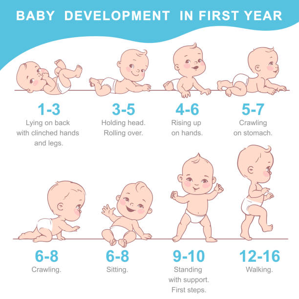 5,400+ Baby Development Stock Illustrations, Royalty-Free Vector ...