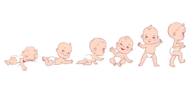 baby-entwicklung infografik. babywachstum und meilensteine im ersten jahr. - baby stock-grafiken, -clipart, -cartoons und -symbole
