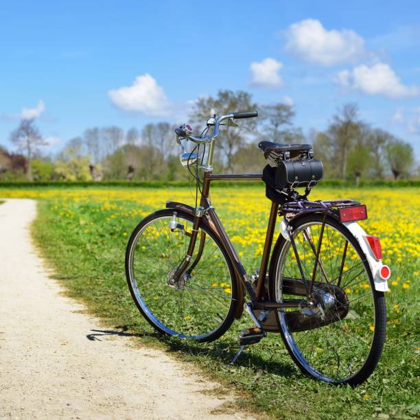 istock An old retro bicycle in the dandelion field. The Netherlands 1174171668