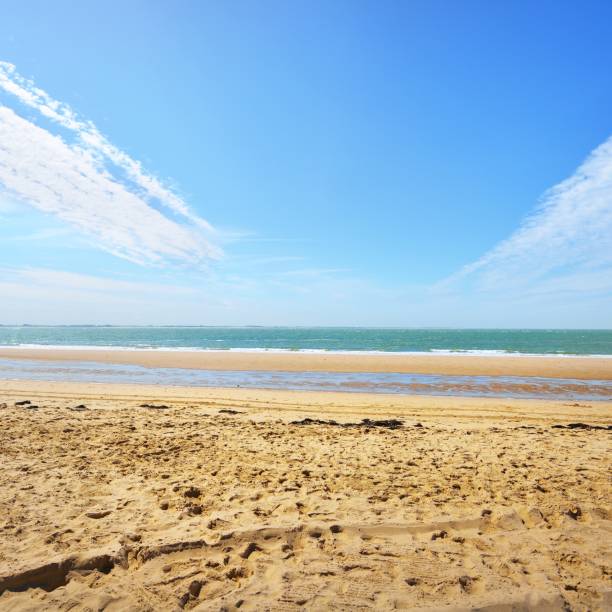 istock North sea shore in Vlissingen, the Netherlands 1174171721