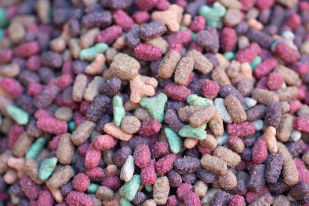 istock Fresh dry food for cats 1174193717
