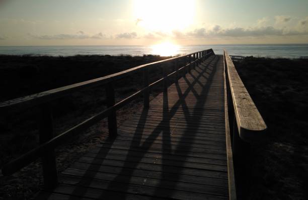 istock Wooden walkway to the beach 1174193741