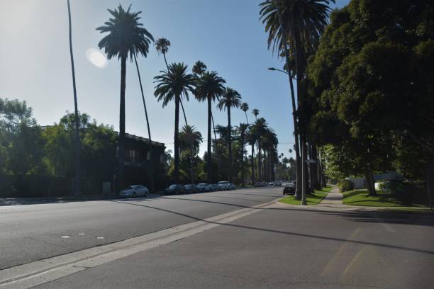istock Street Image Beverly Hills California 1174207699