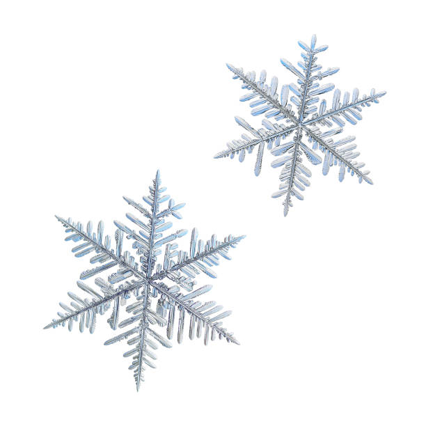istock Two snowflakes isolated on white background 1174209917