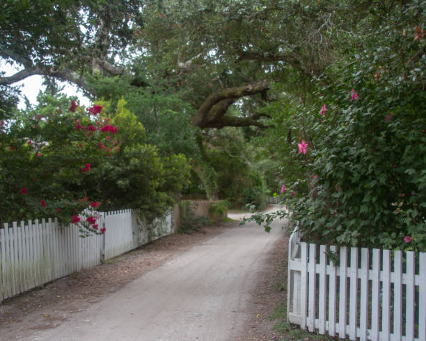 istock A dirt road lined with white picket fences. 1174210143