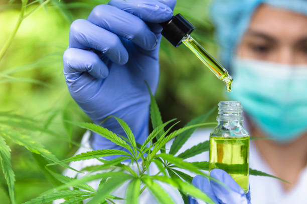 doctors  holding bottle of cannabis oil in pipette,hemp product, cbd cannabis oil.  medical marijuana concept. - medical marijuana imagens e fotografias de stock