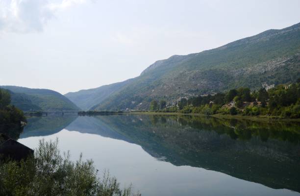 istock a reflection of a calm and clean river 1174219371