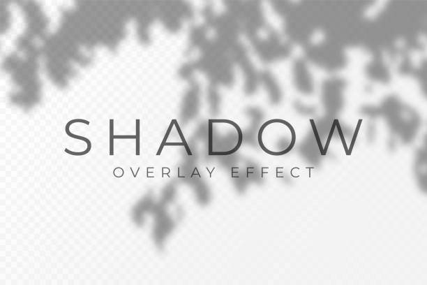 schatten-overlay-effekt. transparentes weiches licht und schatten von pflanzenzweigen, blättern und laub. mockup von transparentem schatten-overlay-effekt und natürlichem blitz - focus on shadow stock-grafiken, -clipart, -cartoons und -symbole