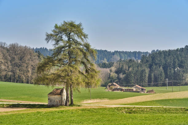 istock Farm death, dilapidated courtyard, chapel with tree 1174229742