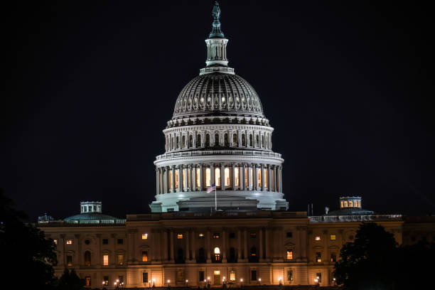 istock United States Capitol (United States Capitol) 1174229769