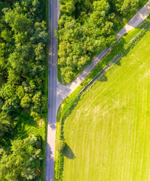 Junction on a rural English road A road through woodland in England, with a junction creating a fork in the road. Photographed from directly above. forked road photos stock pictures, royalty-free photos & images