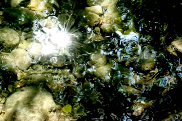 istock Landscape of a river in summer 1174236869