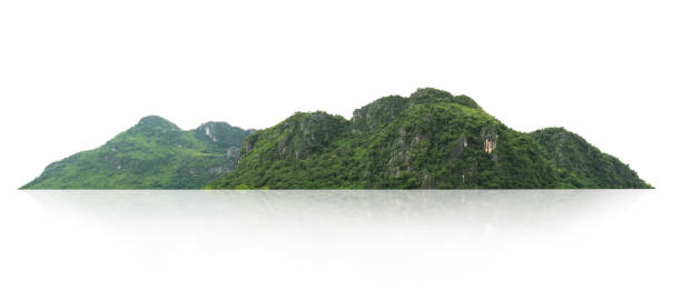 istock rock mountain hill with  green forest isolate on white background 1174236927