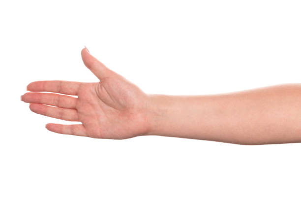 istock Woman hand with beautiful manicure isolated on white background, clipping path 1174237333