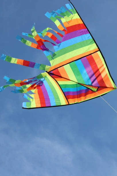istock colorful kite on the blue sky 1174238009