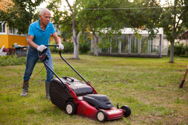 농장에서 잔디 깎는 기계와 쾌활한 성숙한 남자 - rotary mower 뉴스 사진 이미지