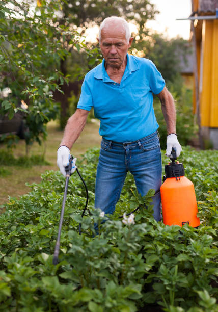 istock Farmer sprays harvest of vegetables with insecticides 1174238807