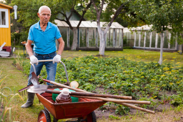 istock Elderly gray-haired man working in the garden 1174238854